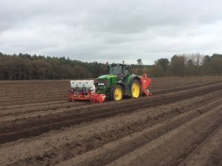 Potato planting underway at R S Cockerill Farms