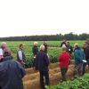 Growers make most of the sunshine