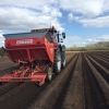 Spring Weather Kicks off Potato Planting 